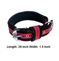 Super Dog Multicolor Padded Collar 1.5 Inch